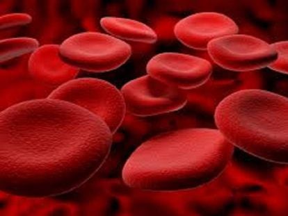 Karl Landsteiner, o Nobel que descobriu os grupos sanguíneos.