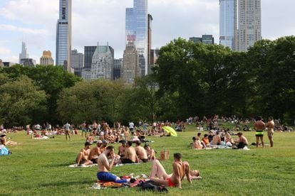 Pessoas aproveitam o Centra Park, em Nova York no último dia 23 de maio. REUTERS/Caitlin Ochs