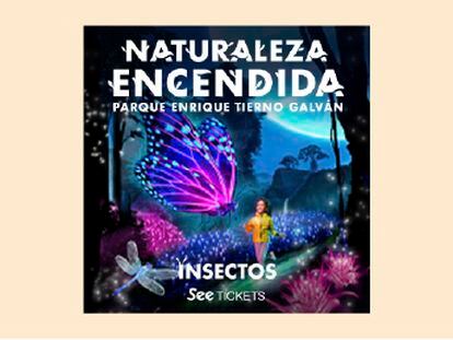 'NATURALEZA ENCENDIDA'. Descubre 'Insectos' en Madrid. Pases de noviembre a enero