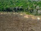 (FILES) In this file photo taken on August 07, 2020, aerial view of a deforested area close to Sinop, Mato Grosso State, Brazil. - Deforestation in the Brazilian Amazon surged again over the past year, hitting a 12-year high, according to official figures released on November 30, 2020 that drew a chorus of condemnation of President Jair Bolsonaro's government. (Photo by Florian PLAUCHEUR / AFP)