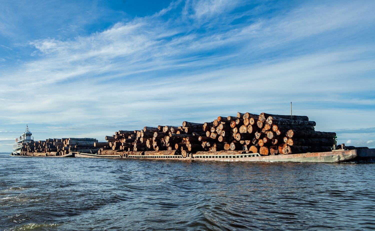 Balsa transporta quase 1.000 toras de madeira pelo rio Xingu. Carregamento veio de plano de manejo da comunidade Itapeua.