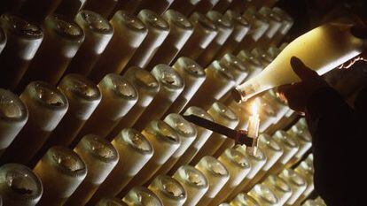 Garrafas de cava na adega Freixenet, em Barcelona.