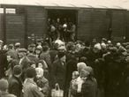 Judeus anciães, vindos do gueto de Beregovo, são ajudados a descer de um dos trens. Em uma lateral do vagão é possível ler: Deutsche Reichsbahn (Ferrovias Estatais da Alemanha). A primavera de 1944 foi o momento em que o campo de Auschwitz-Birkenau se transformou na maior máquina de matar do nazismo. Em torno de 400.000 judeus húngaros foram assassinados em apenas alguns meses.