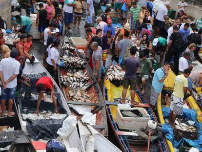 Os comerciantes vendem peixe no mercado de Manaus.