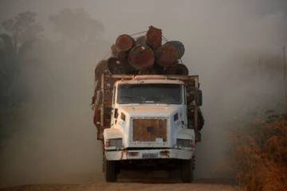 Um caminhão carregado com troncos cortados em uma área da selva amazônica