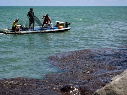 Pescadores recolhem óleo na praia de Janga, em Paulista, Pernambuco.