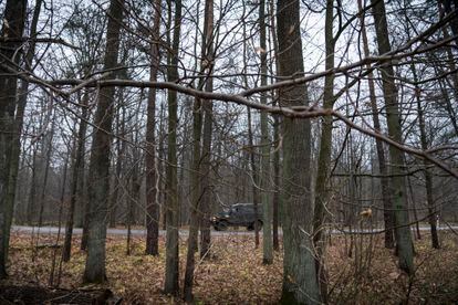 Um veículo militar patrulha a floresta de Bialowieza. 