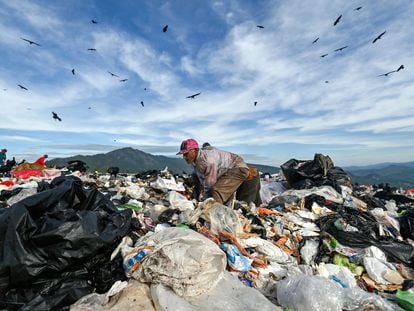 Homem revira lixo em Tegucigalpa, em novembro de 2021.