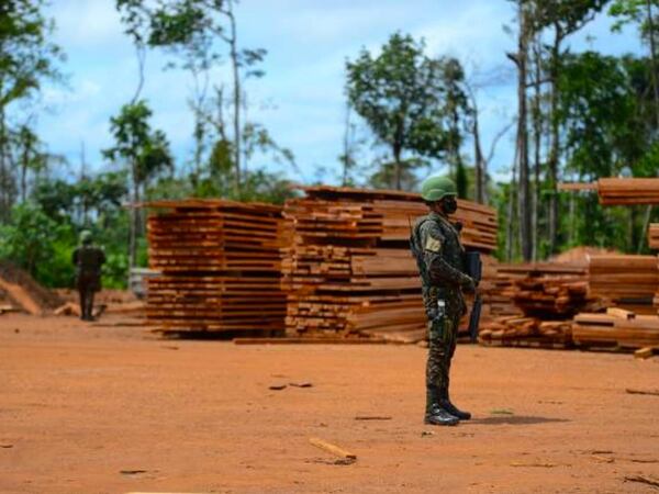 Soldado do Exército em frente a uma pilha de tábuas apreendidas na operação Verde Brasil 2 em Roraima.