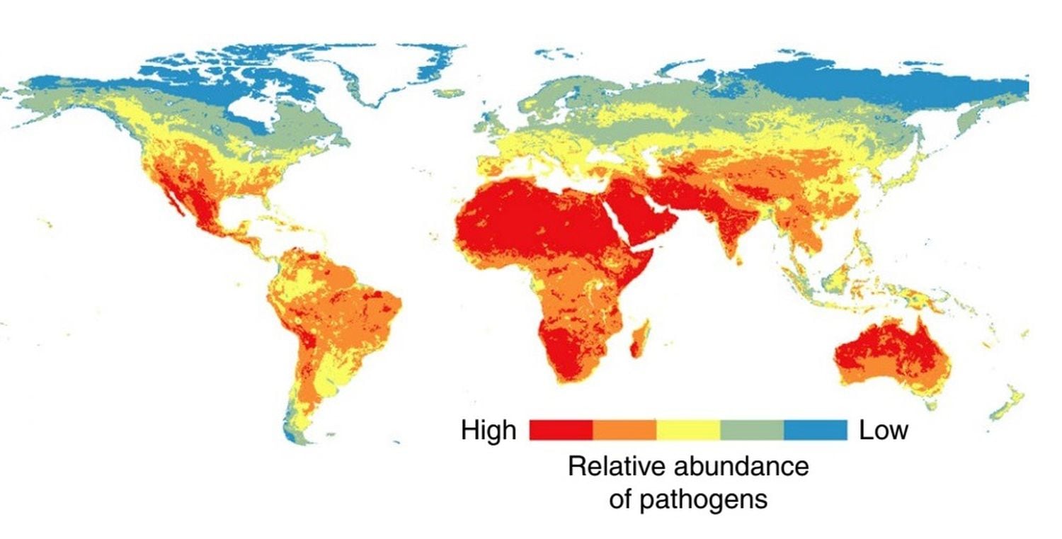 Mapa mostra a distribuição atual das maiores concentrações de patógenos. As cores mais avermelhadas indicam as áreas onde são mais abundantes.
