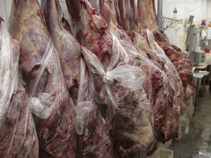 Carne Fraca: Com 18 toneladas de peru com salmonela, fiscais