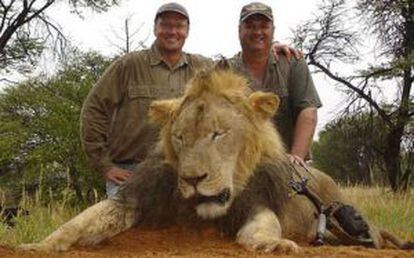 O dentista (à esq.) com outro leão abatido em 2008.