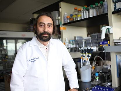 Adolfo García-Sastre, virologista especializado em patógenos emergentes do Hospital Monte Sinai, em Nova York.