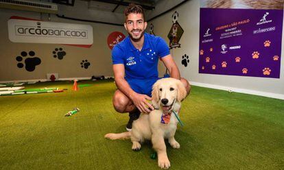 Lucas Silva e Logan no espaço VIP para cachorros do Mineirão.