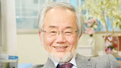 Yoshinori Ohsumi, ao saber que havia recebido o prêmio Nobel.
