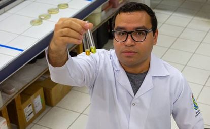 Pesquisador Lucas Pinheiro Dias, no laboratório da Universidade Federal do Ceará.