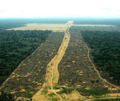 Desmatamento generalizado no Estado do Pará.