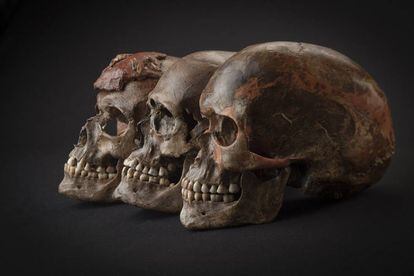 Três crânios encontrados na República Checa associados com o período gravetiano.