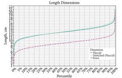 Gráfico do estudo que mostra o comprimento dos 15.000 pênis medidos, com 13 centímetros de média.