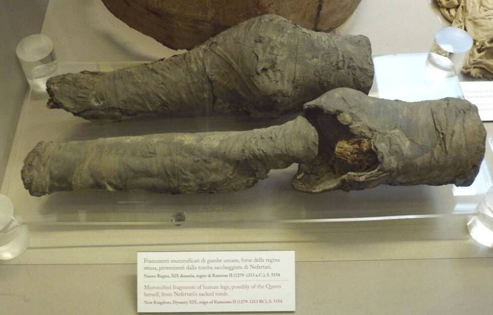 Os restos mumificados das pernas da rainha Nefertari.