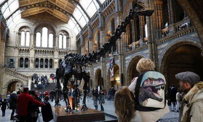 Visitantes no Museu de História Natural de Londres em janeiro.
