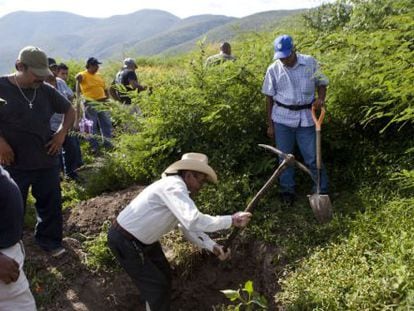 Moradores de Guerrero procuram covas.