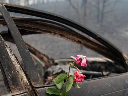Uma flor em memória às pessoas que morreram neste carro em Nodeirinho.