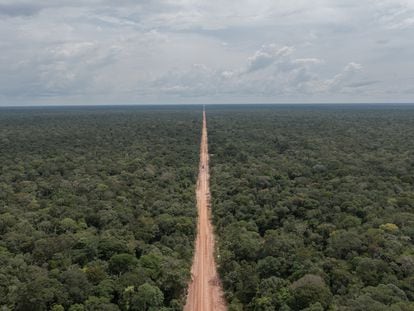 BR-139, na Amazônia