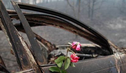 Uma flor em memória às pessoas que morreram neste carro em Nodeirinho.