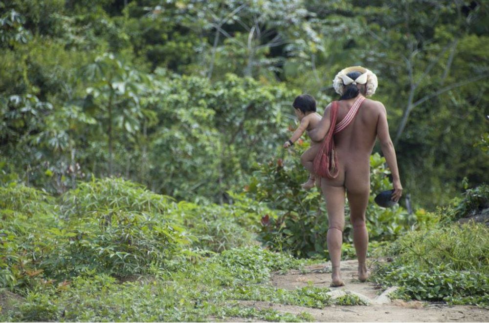 Coronavírus deixa povos indígenas em alerta, após dois casos suspeitos