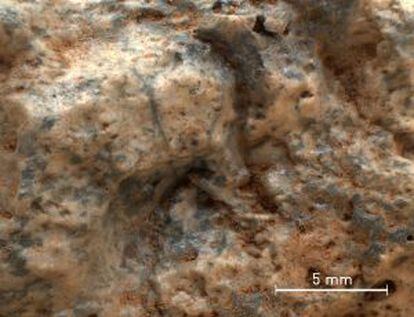 Uma das amostras de rocha da possível crosta continental detectada em Marte.