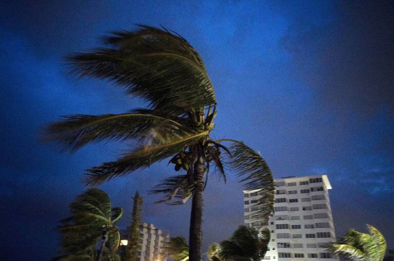 Furacão Dorian sacode as árvores de Freeport, nas Bahamas, na noite de domingo. Sudeste dos EUA se prepara para chegada da tempestade.