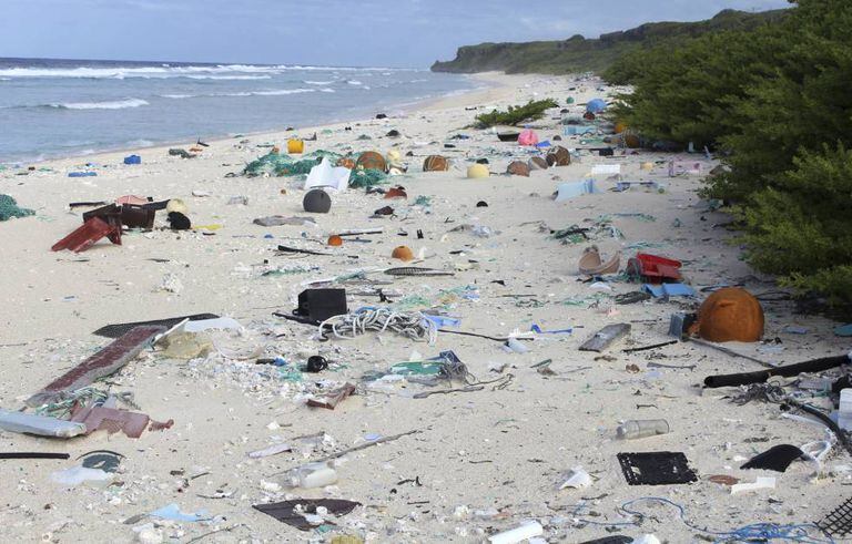 Praia da Ilha Henderson em 2015.