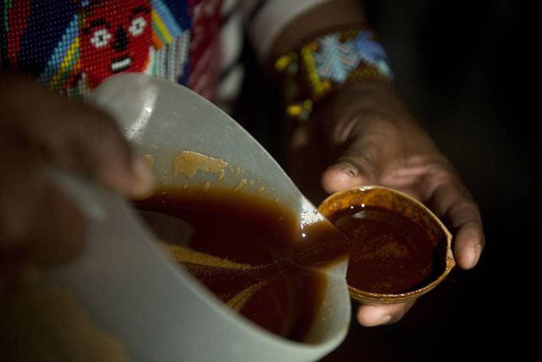 Mistura de ayahuasca sendo servida em um ritual.