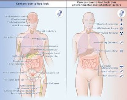 Diagrama com os tumores analisados, à esquerda, os que se devem principalmente ao fator sorte, à direita, os tipos nos quais afetam também fatores ambientais e hereditários.