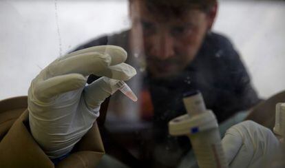 Um cientista do laboratório móvel europeu em Gueckedou (Guiné) prepara uma amostra para identificar o ebola.