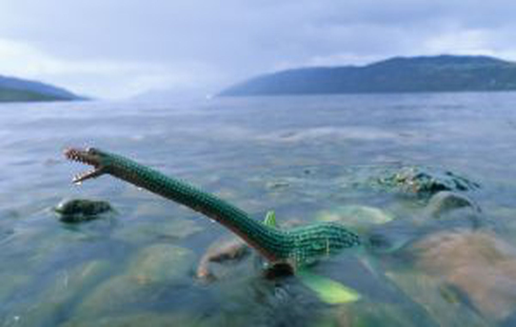 карадагский змей реальные фото