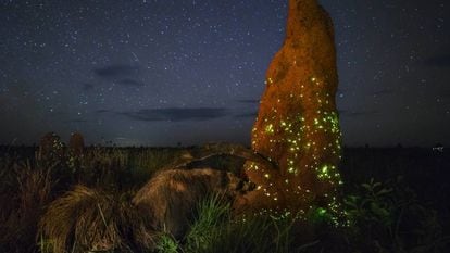 O ‘Invasor Noturno’, a fotografia desclassificada.