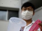 Male Wolbachia-aedes aegypti mosquitos are released at a public housing estate test site in Singapore August 27, 2020. Picture taken August 27, 2020.     REUTERS/Edgar Su