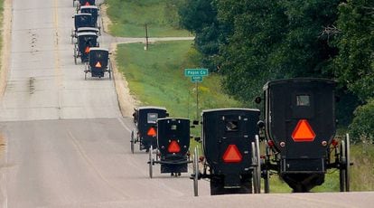 Carroças a cavalo utilizadas pelos Amish.