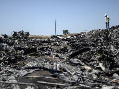 Um homem junto aos restos do avião de Malaysia Airlines. (AFP)