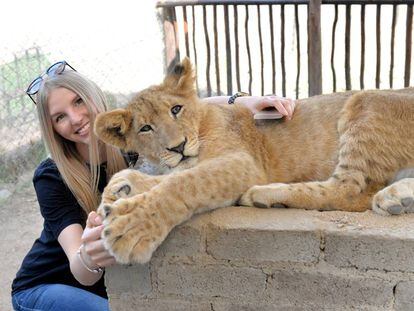 Garota posa com um filhote de leão na África do Sul.