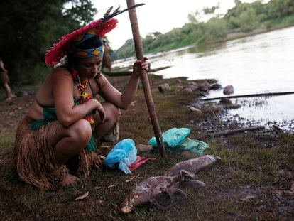Mulher indígena observa um peixe morto na beira do rio Paraopeba, nesta segunda-feira, 28 de janeiro.