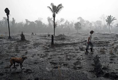 Fazendeiro caminha em meio a área devastada por incêndio na região de Porto Velho, Rondônia.