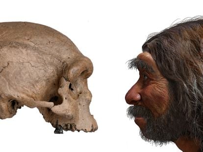 O crânio do ‘Homo longi’ e uma reconstituição de sua aparência.