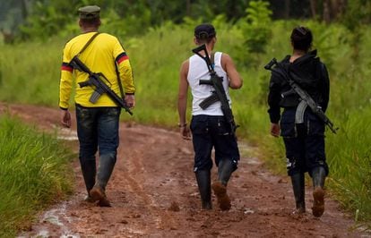 Membros da dissidência das FARC no departamento de Guaviare.
