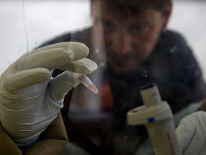 Um cientista do laboratório móvel europeu em Gueckedou (Guiné) prepara uma amostra para identificar o ebola.
