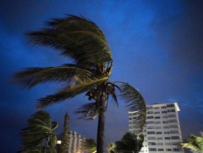 Furacão Dorian sacode as árvores de Freeport, nas Bahamas, na noite de domingo. Sudeste dos EUA se prepara para chegada da tempestade. 