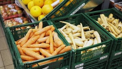 Cenouras e cherovias ‘feias’ em um supermercado dinamarquês.