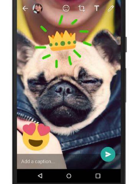 Imagem do editor de imagens de WhatsApp.